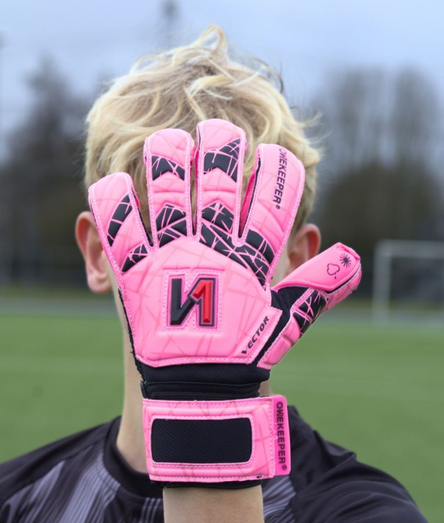 Onekeeper Vector Evolutuon Pink 3.jpg