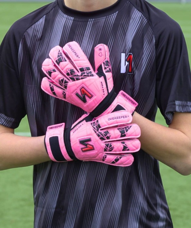 Onekeeper Vector Evolutuon Pink 1.jpg